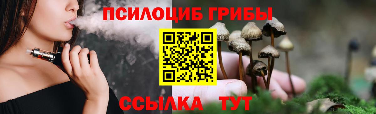 Галлюциногенные грибы прущие грибы Коркино